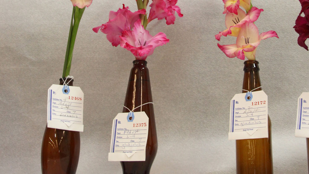flowers in a vase