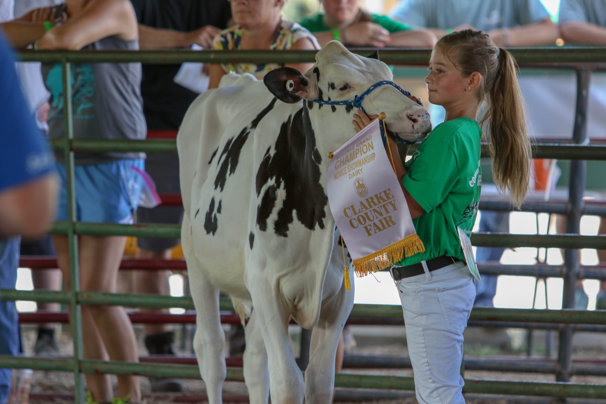 A girl shows her award-winning dairy cow